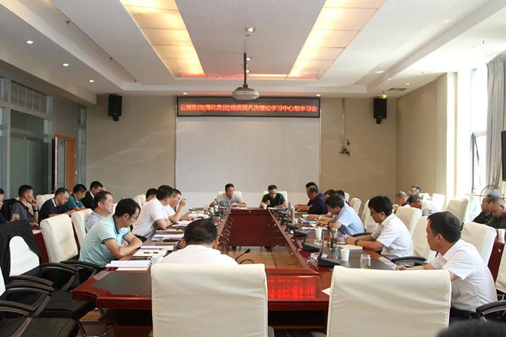 云煤（esball世博）集团党委开展2021年第八次党委理论学习中心组集中学习