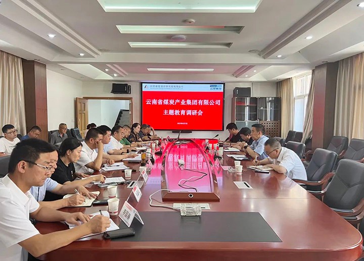 【主题教育】云煤（esball世博）集团党委副书记、工会主席王鑫一行到昆明煤炭设计研究院开展主题教育调研