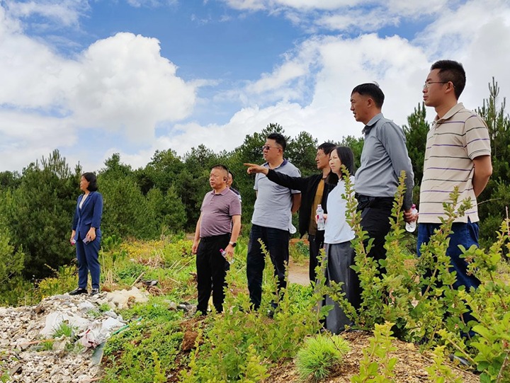 【主题教育】云煤（esball世博）集团专职外部董事寸延峰，，，集团党委委员、财务总监莫晓丹到马厂煤矿、汉家厂煤矿、竹麻地煤矿开展主题教育调研