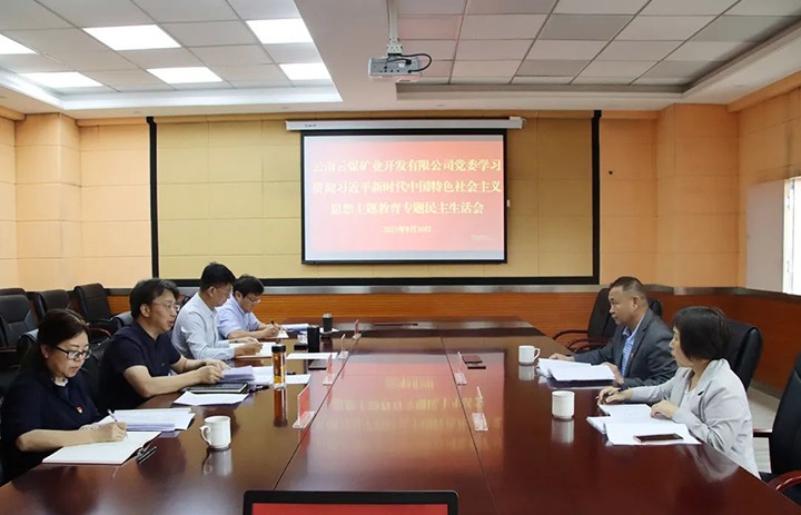 【主题教育】云煤（esball世博）集团第二指导组到云煤矿业公司指导主题教育专题民主生涯会