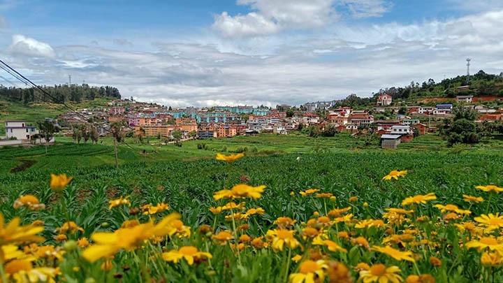 【云煤岁月】笃行不辍营生长，，，砥砺奋进谱新篇——平煤故事（一）