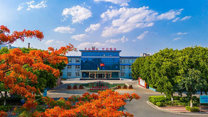 红色基由于引领，，，，，磨练战场写华章  —— 汗水与智慧交织的磨练历程