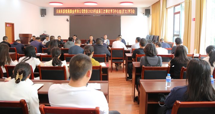 东源恒鼎公司党委召开第三次理论学习中心组学习聚会