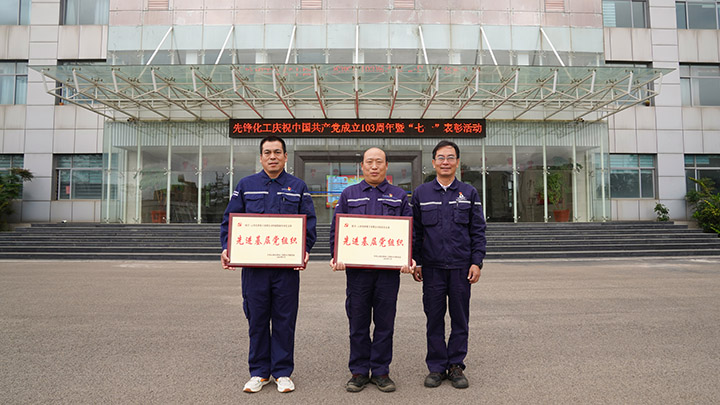 表扬下层党组织 合影.jpg